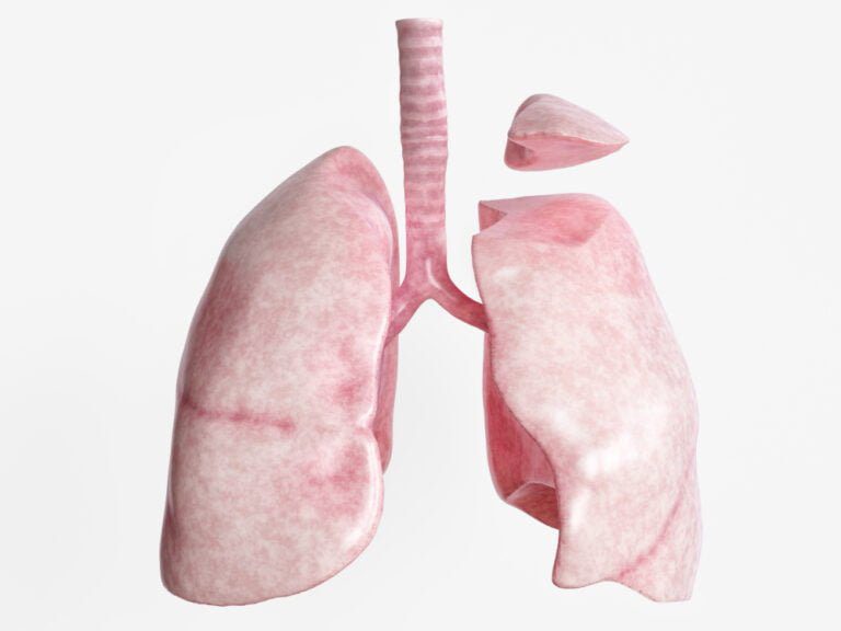 Imagem meramente ilustrativa (Banco de imagens: Shutterstock)