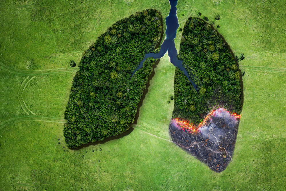 Alterações climáticas e saúde pulmonar: como se proteger?